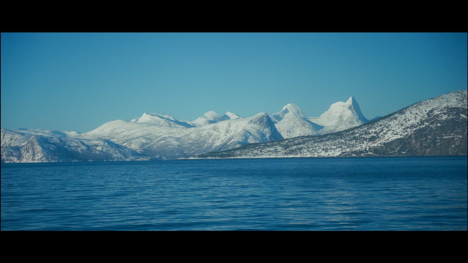 Still from BESTEFAR — frame 5